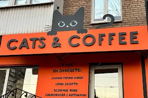 Cats & Coffee image