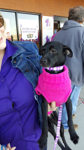 Pet Supply Store «PetSmart», reviews and photos, 2153 75th St, Darien, IL 60561, USA