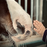 Photo n°6 de l'avis de Michelle.u fait le 26/04/2023 à 05:50 sur le  Hotel Gut Ising à Chieming