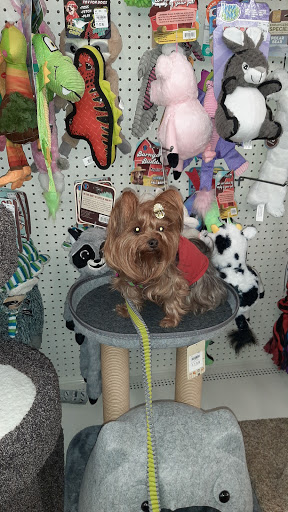 Department Store «HomeGoods», reviews and photos, 22940 Victory Blvd, Woodland Hills, CA 91367, USA