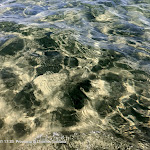 Photo n°1 de l'avis de Thomas.e fait le 16/08/2022 à 23:01 sur le  Pappabeach Bar Ristorante à Piombino