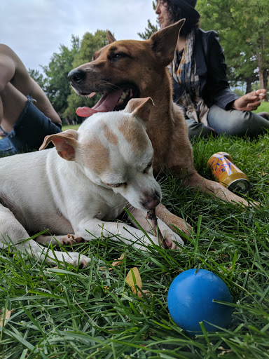 Park «Panorama Park», reviews and photos, W 35th Ave & Fenton St, Wheat Ridge, CO 80033, USA