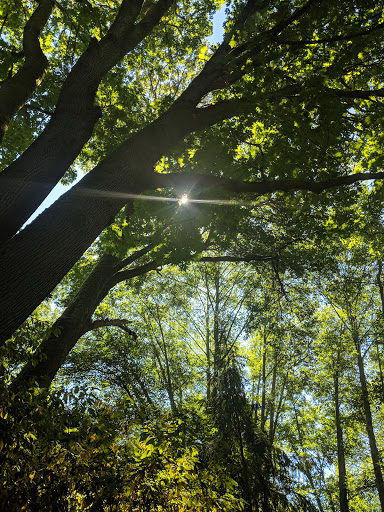 Park «Carkeek Park», reviews and photos, 950 NW Carkeek Park Rd, Seattle, WA 98177, USA