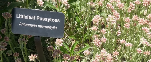 Nature Preserve «Swaner Preserve and EcoCenter», reviews and photos, 1258 Center Dr, Park City, UT 84098, USA