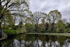Shirley Pond Park image