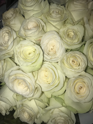 Hair Salon «Aylin Beauty Salon & Spa», reviews and photos, 820 E 41st St, Hialeah, FL 33013, USA