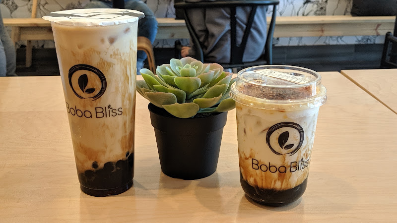 Boba Bliss