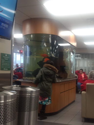 Toyota Dealer «Maplewood Toyota», reviews and photos, 2873 Maplewood Dr, Maplewood, MN 55109, USA