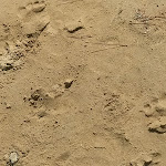 Photo n°4 de l'avis de Michele.a fait le 25/07/2020 à 16:11 sur le  camping village Scialmarino à Vieste