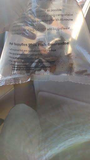 Pet Supply Store «Pet Supplies Plus», reviews and photos, 2410 Augusta Rd, West Columbia, SC 29169, USA