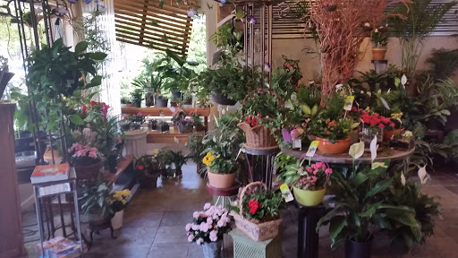 Florist «Paul Wood Florist», reviews and photos, 111 W Olive St, Fort Collins, CO 80524, USA