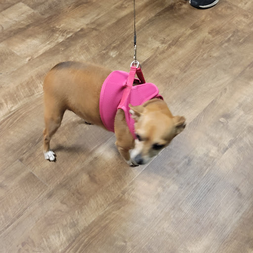 Pet Supply Store «EarthWise Pet Panama City», reviews and photos, 632 W 23rd St, Panama City, FL 32405, USA