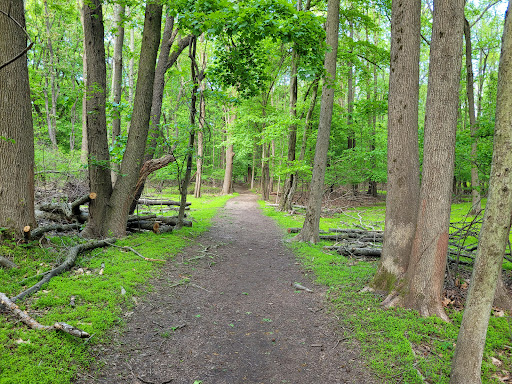 Golf Course «La Tourette Golf Course», reviews and photos, 1001 Richmond Hill Rd, Staten Island, NY 10306, USA