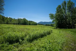 Mountain Meadow Preserve image