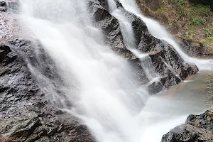 Thannimoodu Irappupara Waterfalls image
