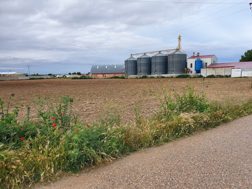 Secadema T - Camino Hortigosa, s/n, 02240 Mahora, Albacete