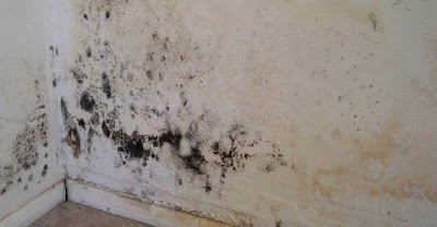 Traitement Humidité-condensation-Moisissures à Nancy