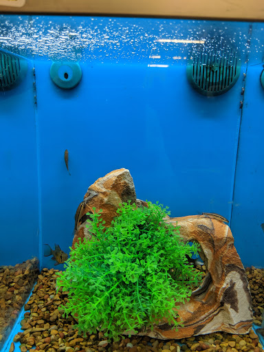 Pet Supply Store «PetSmart», reviews and photos, 6106 Shops Way, Northborough, MA 01532, USA