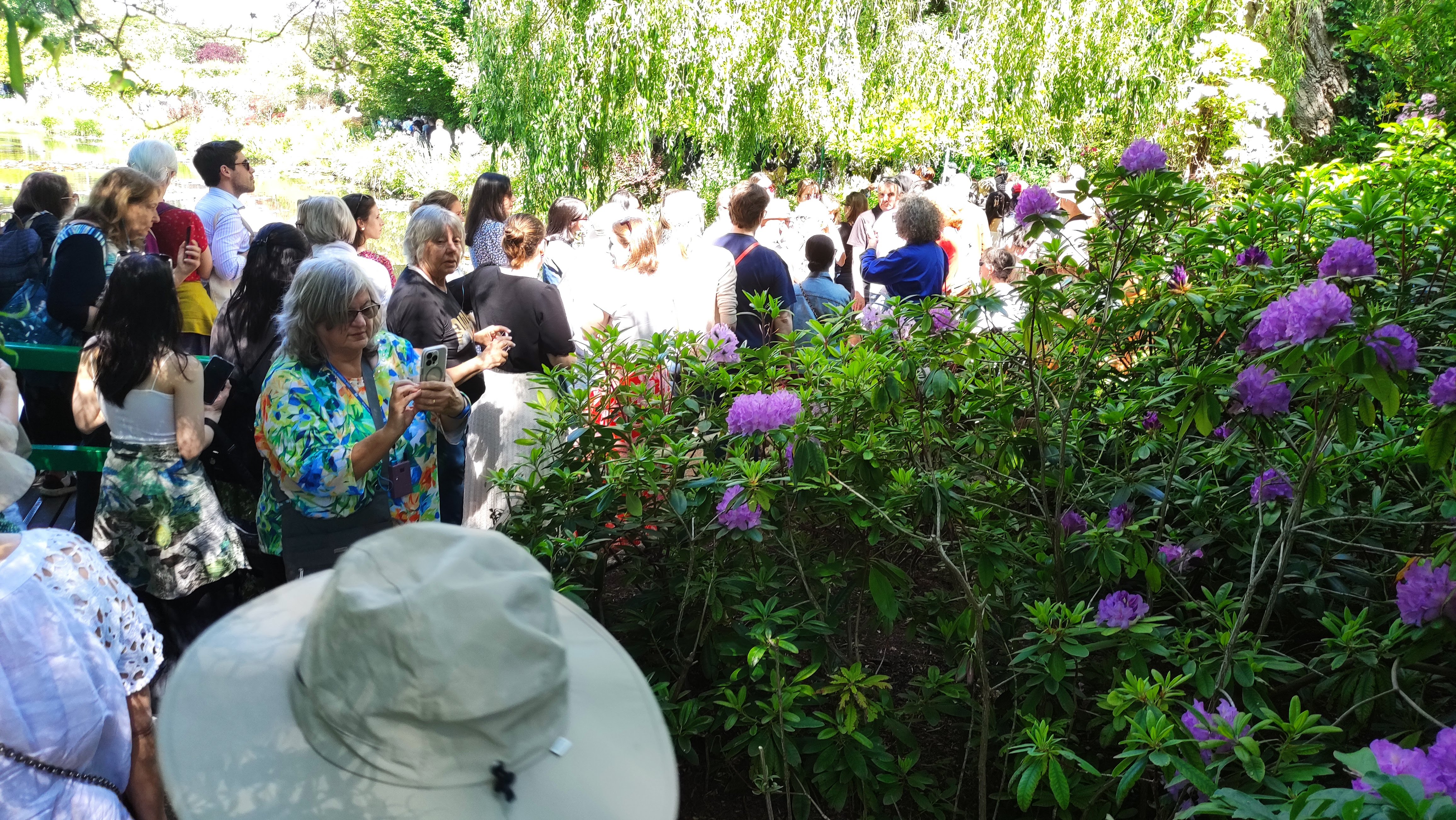 Photo n° 2 de l'avis de Diord.e fait le 01/06/2023 à 16:56