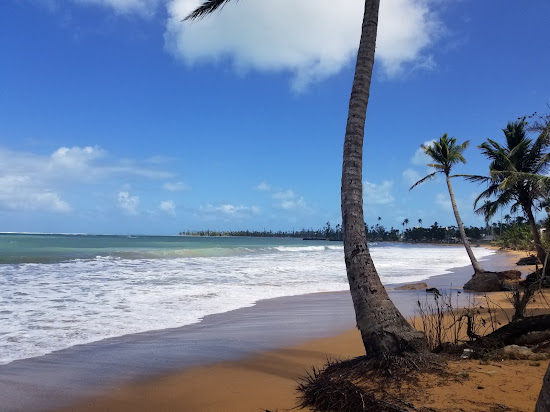 Playa Fortuna