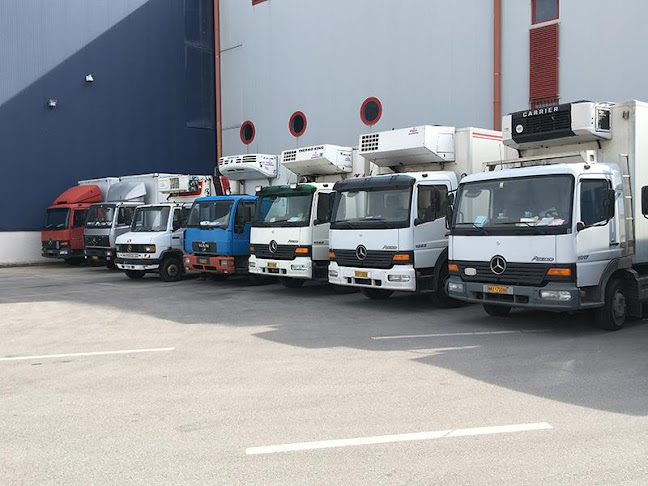 MR2V+446, Εχέδωρο 570 09