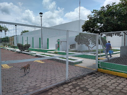 CFE Division Sureste Zona Tapachula