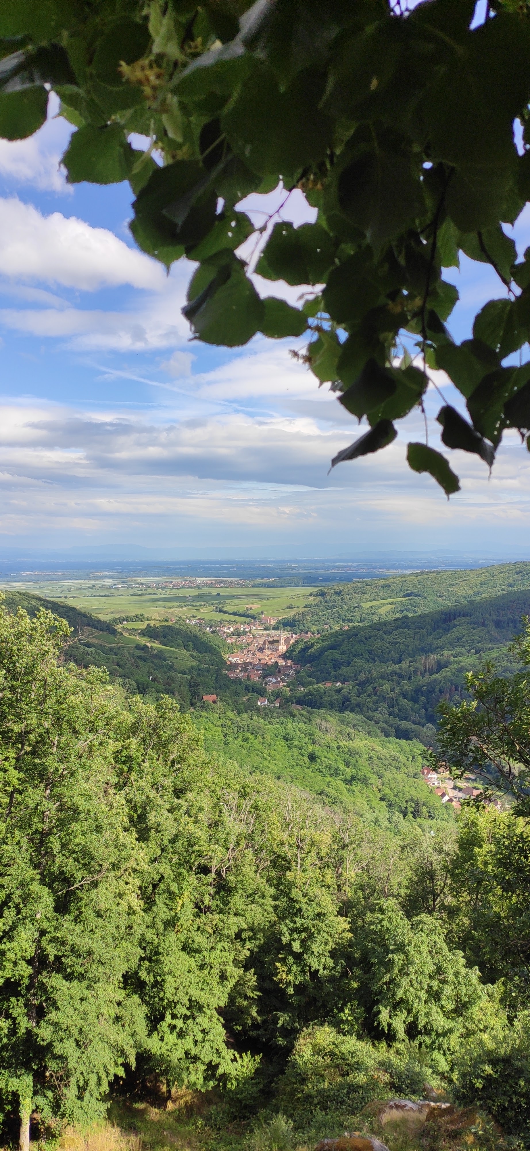 Photo n° 2 de l'avis de Ellen.e fait le 23/08/2022 à 19:36