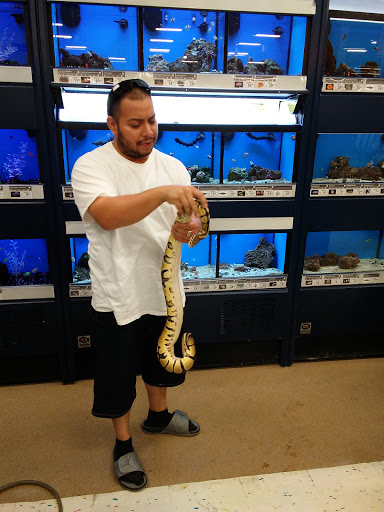 Pet Supply Store «Petco Animal Supplies», reviews and photos, 3680 Spencer Hwy, Pasadena, TX 77504, USA