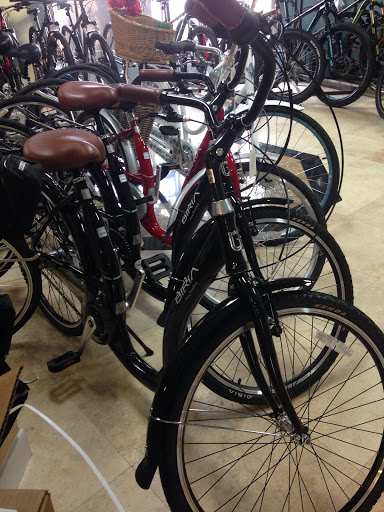 Bicycle Store «Village Bike and Paddle», reviews and photos, 8965 SE Bridge Rd #100, Hobe Sound, FL 33455, USA