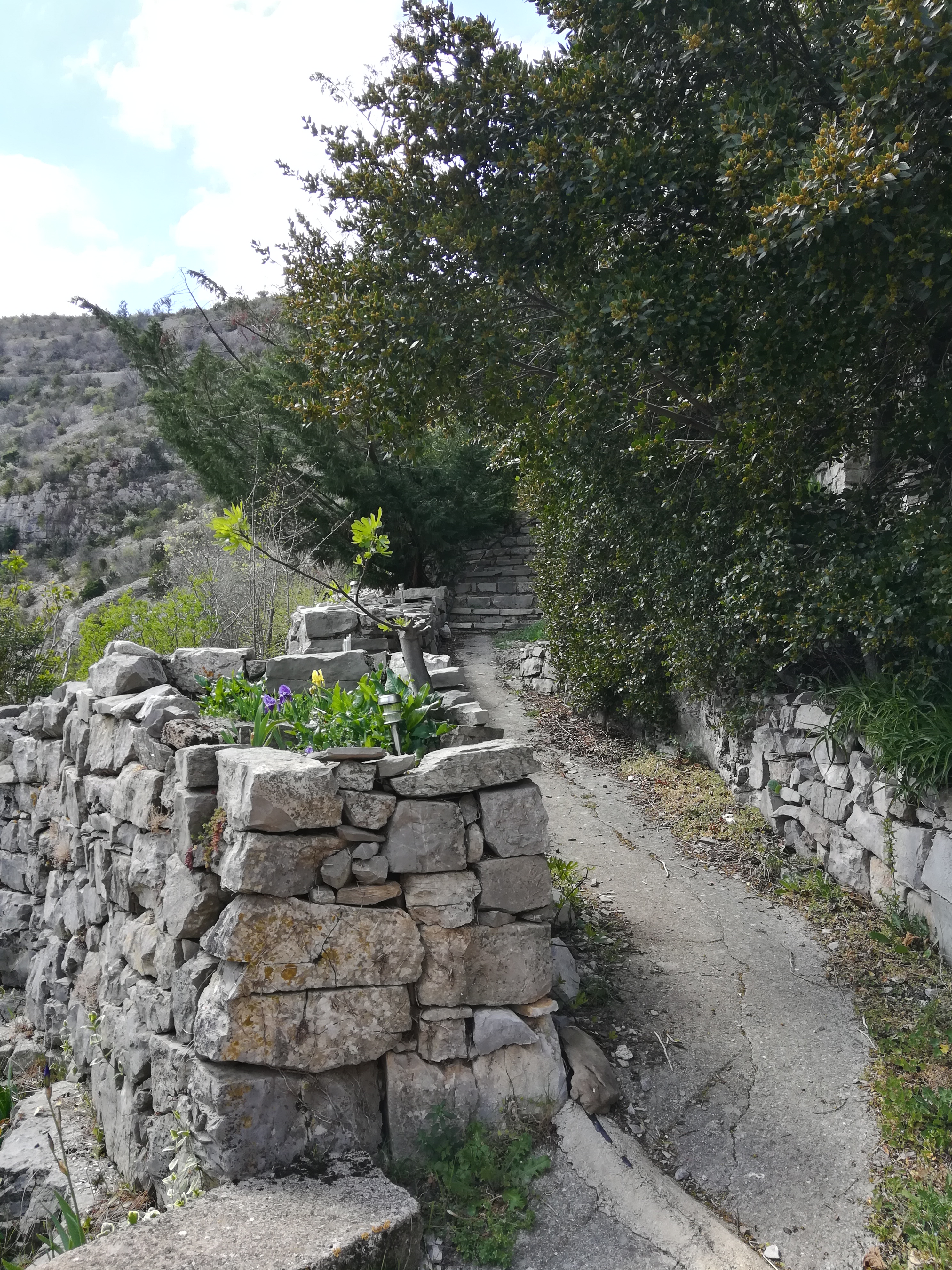 Photo n° 5 de l'avis de Steve.e fait le 06/04/2019 à 09:42