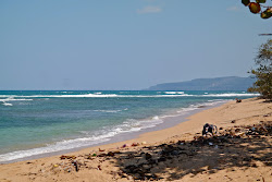 Playa Cajuajo'in fotoğrafı vahşi alan