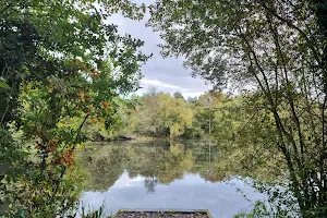 Swan Lake Park image