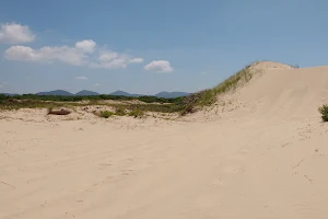 Praia do Araçá image