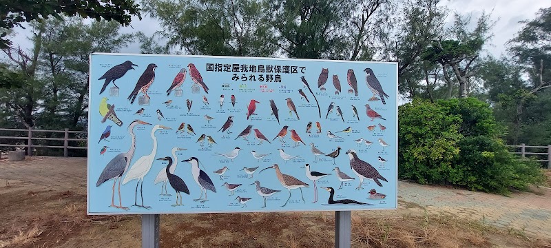 野鳥観察所