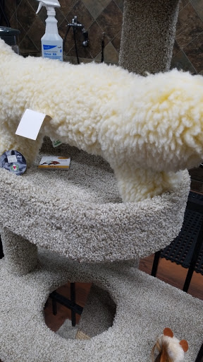 Pet Store «Pet Valu», reviews and photos, 385 N Central Ave, Hartsdale, NY 10530, USA