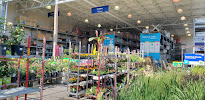 Lowe's Garden Center - Photo 9 - Car repair in Tampa, FL, Clearwater