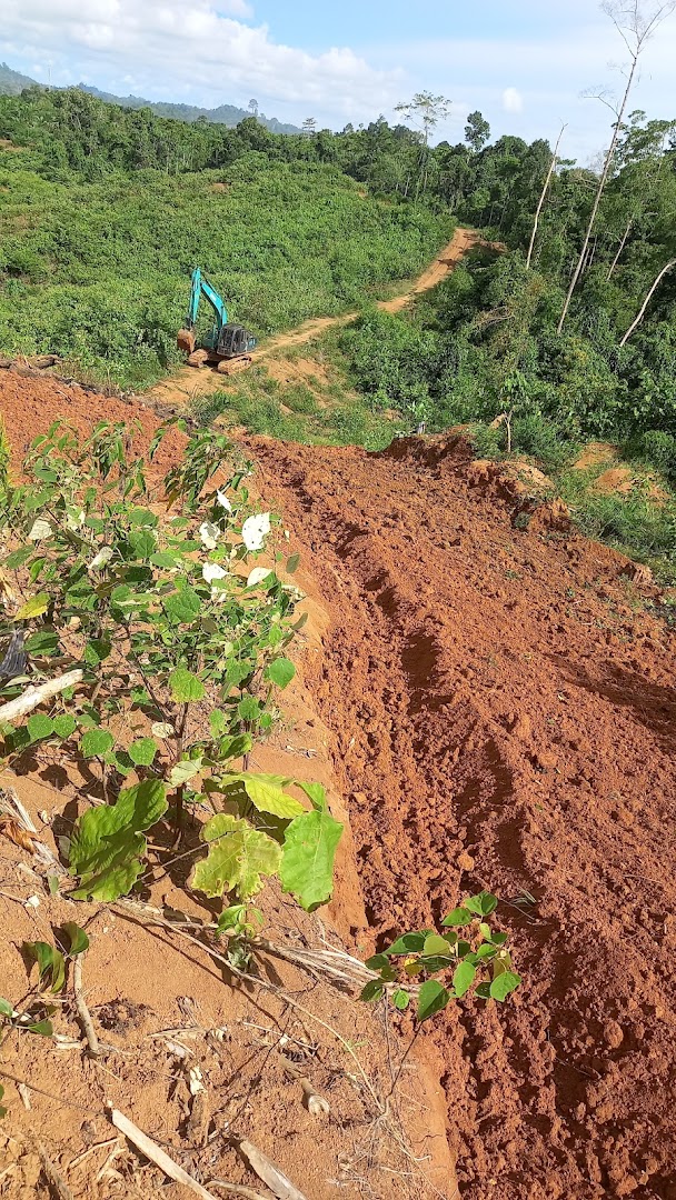 Gambar Kebun Al Mahfud (ajyaal)