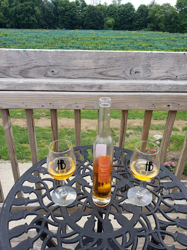 Vineyard «Haight Vineyard», reviews and photos, 29 Chestnut Hill Rd, Litchfield, CT 06759, USA