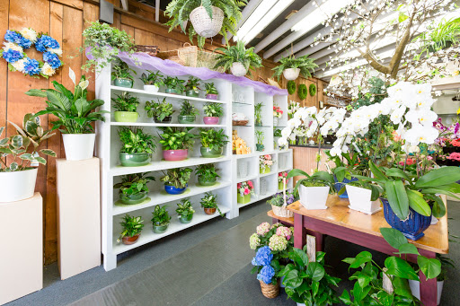 Florist «Blossom Flower Shops», reviews and photos, 275 Mamaroneck Ave, White Plains, NY 10605, USA