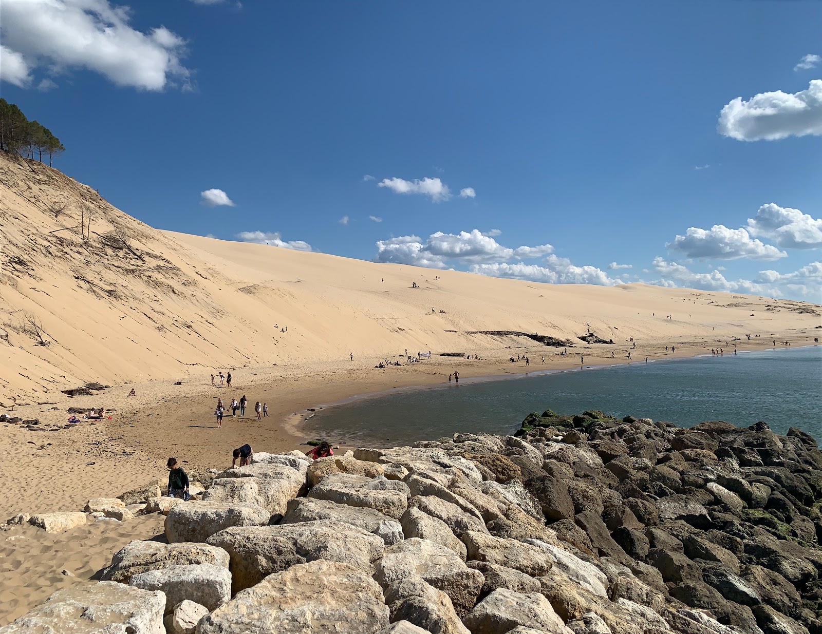 Valokuva Dune du Pilatista. sijaitsee luonnonalueella