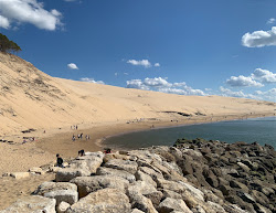 Valokuva Dune du Pilatista. sijaitsee luonnonalueella