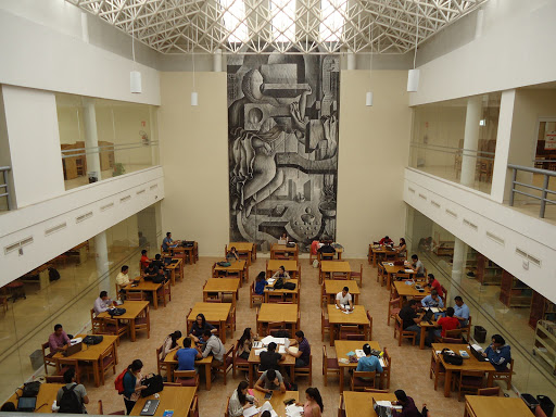 Biblioteca DES De Ingenierías