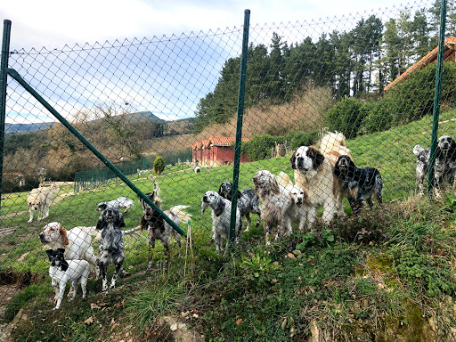 Troylo Hotel Canino en Gueñes, Vizcaya