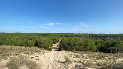 Bouverie beach'in fotoğrafı vahşi alan
