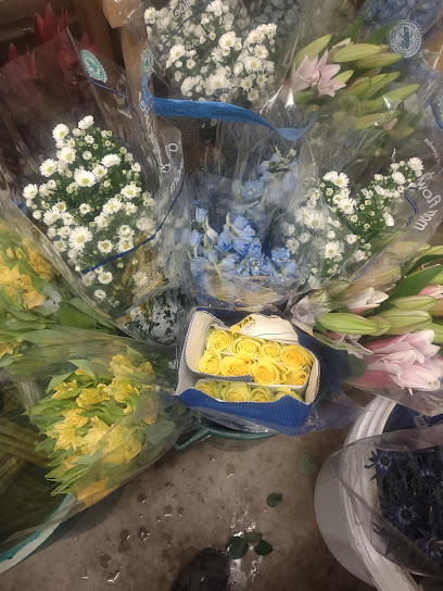 Davis Wholesale Florist Inc