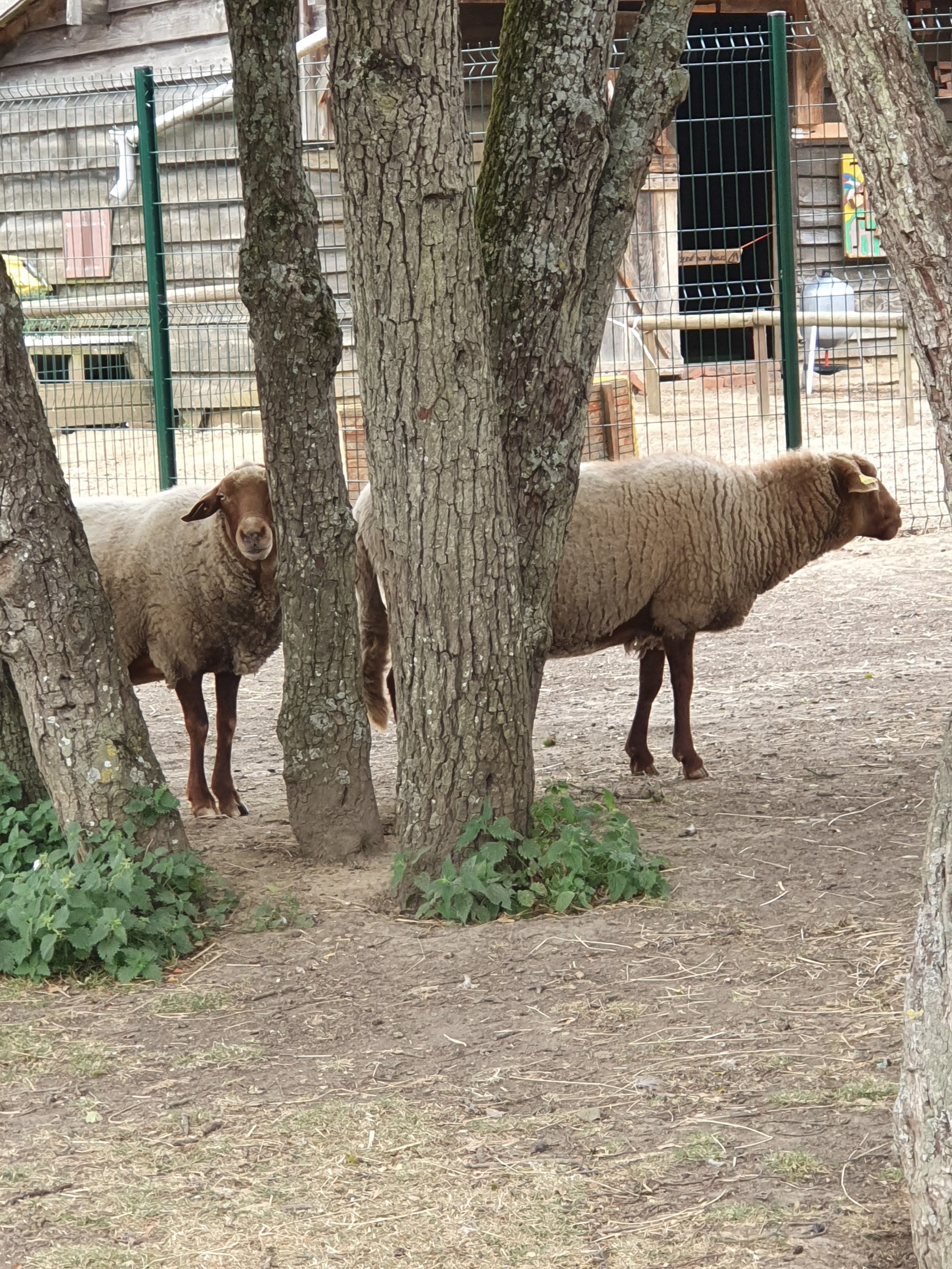 Photo n° 9 de l'avis de Liliane.o fait le 17/08/2019 à 10:37