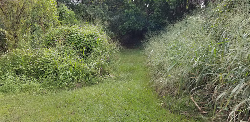 Park «Hammock Park», reviews and photos, 1945 San Mateo Dr, Dunedin, FL 34698, USA