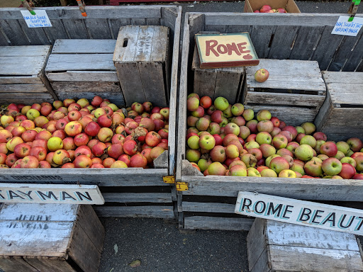 Gift Shop «Beech Spring Gift Shop», reviews and photos, 11600 Lee Hwy, Sperryville, VA 22740, USA
