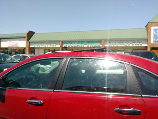 Dollar Store «Dollar Tree», reviews and photos, 2654 Belvidere Rd, Waukegan, IL 60085, USA