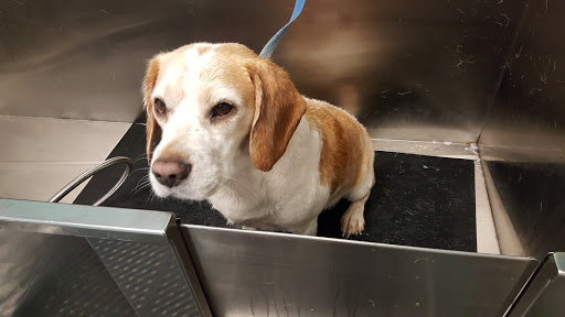 Pet Store «Pet Valu», reviews and photos, 1200 Market St, Lemoyne, PA 17043, USA